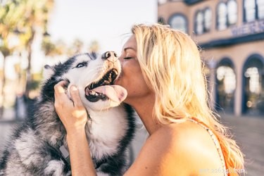 Am I Ready to Adopt a Dog? Key Steps for a Successful Start