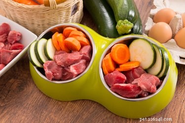 The Ultimate Guide to Choosing the Healthiest Dog Food