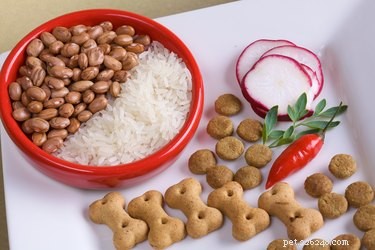 The Ultimate Guide to Choosing the Healthiest Dog Food
