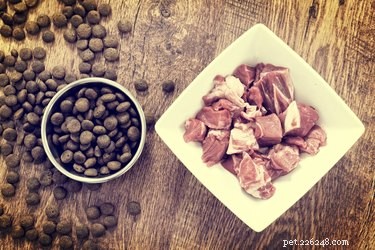 The Ultimate Guide to Choosing the Healthiest Dog Food