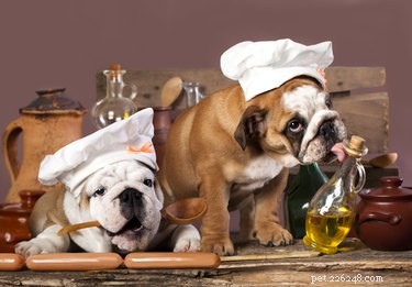 The Ultimate Guide to Choosing the Healthiest Dog Food