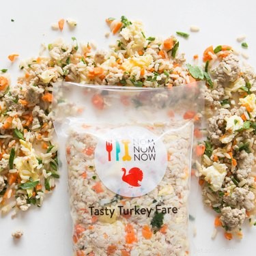 Why Every Dog Deserves Fresh Food: Health Benefits & Modern Options