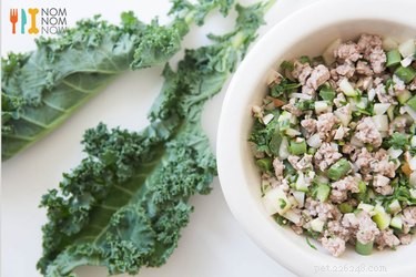 Why Every Dog Deserves Fresh Food: Health Benefits & Modern Options