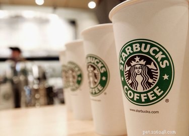 Woman Sues Starbucks After Dog Died from Hot Tea Spill