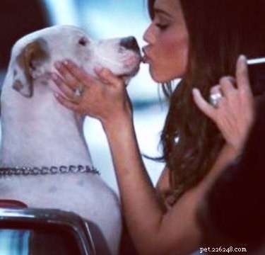 Jessica Alba Mourns the Loss of Her Second Dog in Two Weeks
