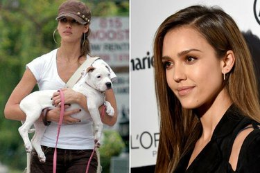 Jessica Alba Mourns the Loss of Her Second Dog in Two Weeks