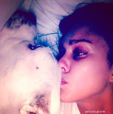 Jessica Alba Mourns the Loss of Her Second Dog in Two Weeks