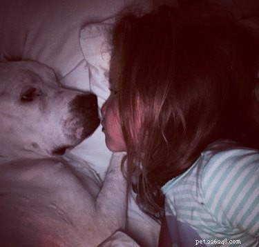 Jessica Alba Mourns the Loss of Her Second Dog in Two Weeks