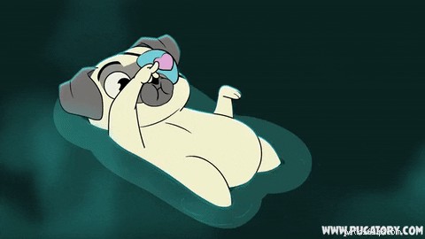Why Does My Dog Flatulate Frequently? Understanding Common Causes and Solutions