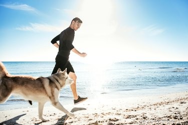 Is Jogging Good for Your Dog? Expert Tips for Safe Exercise