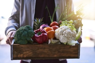 Is a Vegan Diet Safe and Nutritious for Dogs?