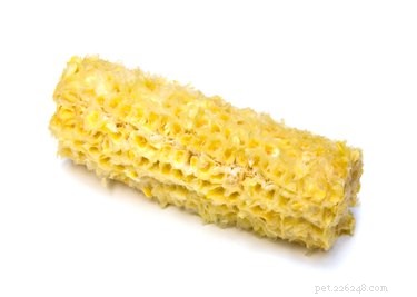 Is Corn on the Cob Safe for Dogs? What Owners Need to Know