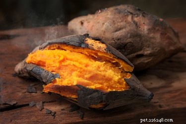 Are Sweet Potatoes Safe for Dogs? A Guide to Their Health Benefits