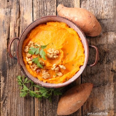 Are Sweet Potatoes Safe for Dogs? A Guide to Their Health Benefits