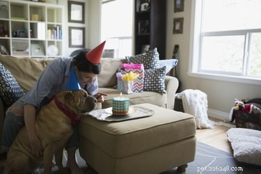 Safe & Simple Dog Cake Frosting Recipes