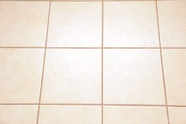 10 Proven Ways to Build a Dog‑Friendly Home
