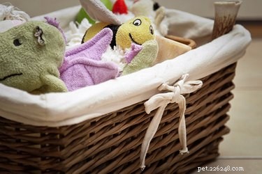 10 Proven Ways to Build a Dog‑Friendly Home