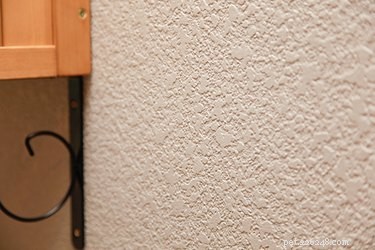 10 Proven Ways to Build a Dog‑Friendly Home