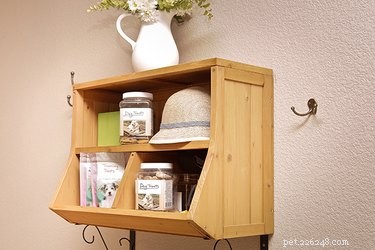 10 Proven Ways to Build a Dog‑Friendly Home