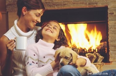 How to Handle Your Dog’s Bathroom Needs During a Blizzard