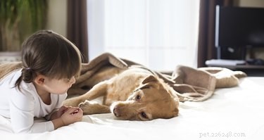 Understanding Idiopathic Cystitis in Dogs: Causes, Symptoms, and Treatment