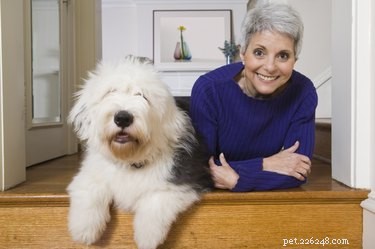 Expert Guide to Keeping Your Dog’s White Facial Hair Spotless
