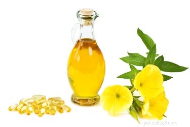 Optimal Evening Primrose Oil Dosage for Dogs: Benefits & Guidelines