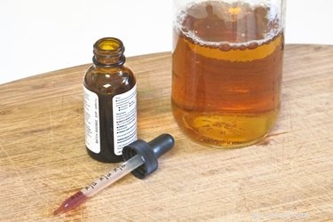 Post-Extraction Care Guide for Your Dog s Dental Health