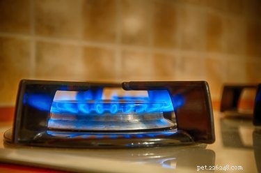 How Carbon Monoxide Leaks Endanger Pets: Symptoms, Prevention, and Immediate Action