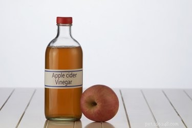 Apple Cider Vinegar: A Safe, Natural Tick Repellent for Dogs
