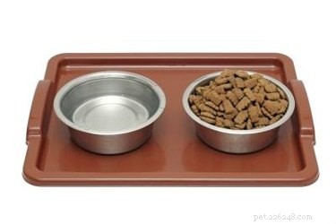 Complete Care Guide for Your Pomeranian‑Yorkie Mix: Health, Grooming, and Training Tips
