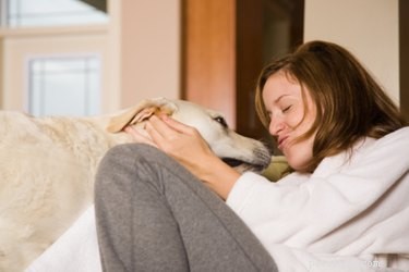 How to Test Your Puppy’s Hearing: A Step‑by‑Step Guide