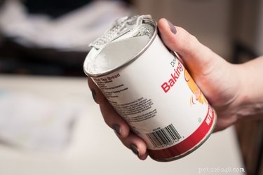 Baking Soda: Safe, Versatile Uses for Your Dog