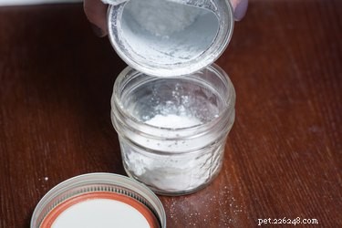 Baking Soda: Safe, Versatile Uses for Your Dog