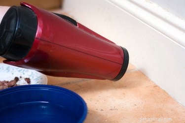 Baking Soda: Safe, Versatile Uses for Your Dog