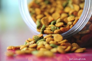 Relieving Your Dog’s Flatulence: Proven Home Remedies
