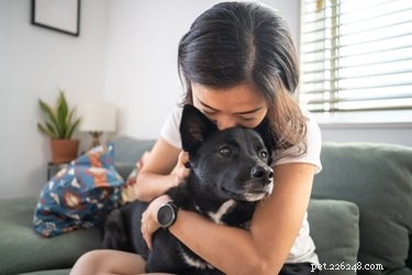 Safe & Effective Rubbing Alcohol Solutions for Flea Removal