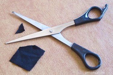 DIY Dog Eye Patch: A Safe, Step‑by‑Step Guide