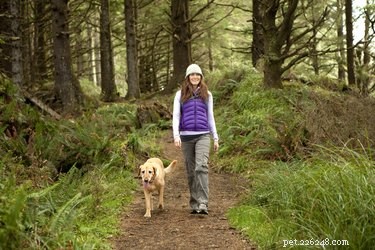 Why Do Dogs Chew Tree Bark? Causes, Health Concerns, and Prevention Tips