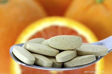 Effective Ways to Soothe Your Dog’s Cold Symptoms
