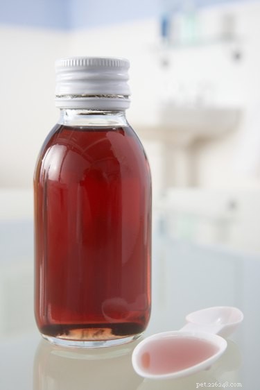 Effective Ways to Soothe Your Dog’s Cold Symptoms