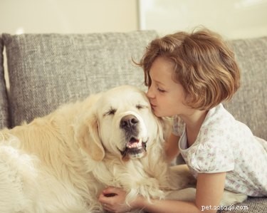 Frontline: Risks to Dogs and Humans – What You Need to Know