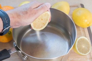 DIY Lemon-Based Flea & Tick Repellent: Safe, Affordable, Pet-Friendly