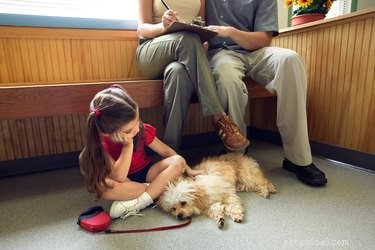 Understanding the Side Effects of Dog Worm Treatments: What to Watch For