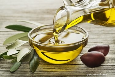 Safe Solutions for Your Dog s Dry Skin: Why Baby Oil Isn’t the Best Choice