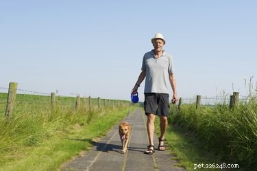 Effective Natural Remedies to Relieve Arthritis Pain in Dogs