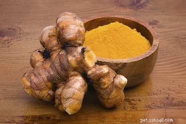 Effective Natural Remedies to Relieve Arthritis Pain in Dogs