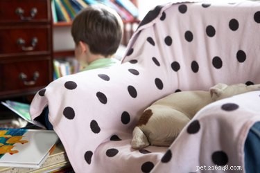 Canine Distemper Vaccine: Understanding Side Effects & Protection