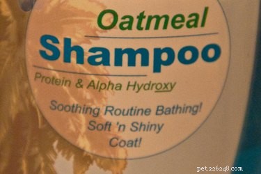 Top Dog Shampoo for Itching & Allergies – Soothing Relief & Safe Ingredients