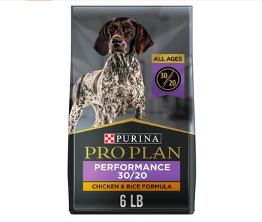 Top High-Protein Dog Foods for a Healthy, Long Life
